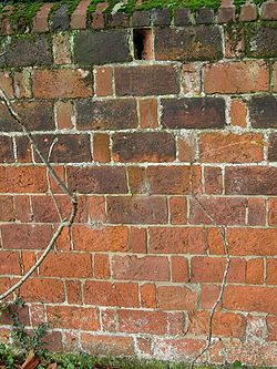 Heritage restoration